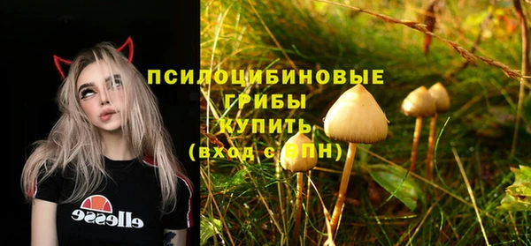 ECSTASY Козельск