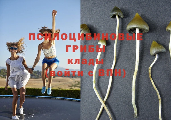 гашиш Козловка