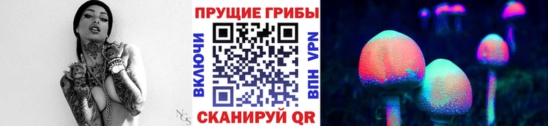 где купить наркотик  Клинцы  Псилоцибиновые грибы MAGIC MUSHROOMS 