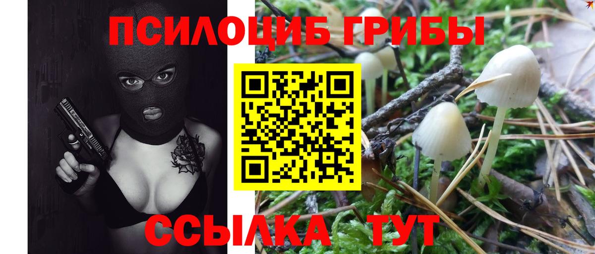 Галлюциногенные грибы Cubensis  Вход с VPN  Клинцы 